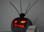 Felipexnv Entry