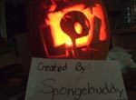 Spongebuddy Entry