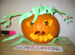 Gorilla123nl Entry