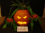 Ratlink Entry